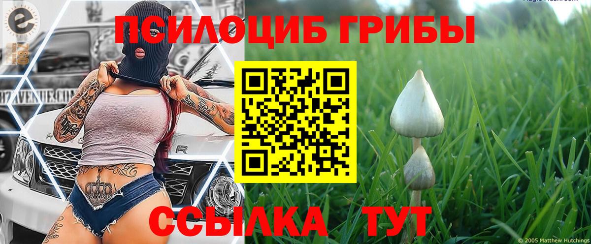 Галлюциногенные грибы ЛСД Удомля